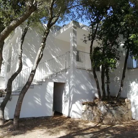 In Campagna Da Nino Hotel Olbia Exterior photo